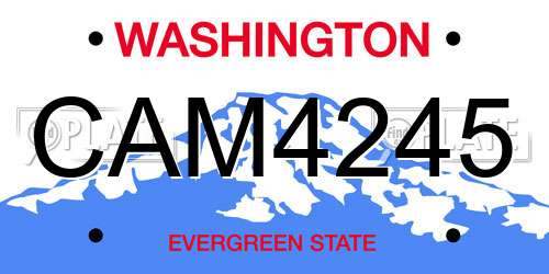 CAM4245 Washington License Plate