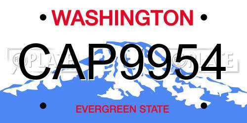 CAP9954 Washington License Plate