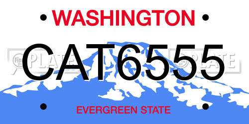 CAT6555 Washington License Plate