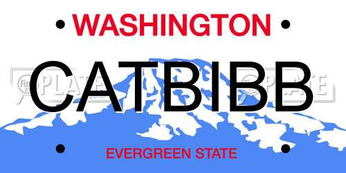 CATBIBB Washington License Plate