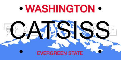 CATSISS Washington License Plate