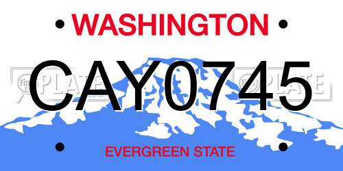 CAY0745 Washington License Plate