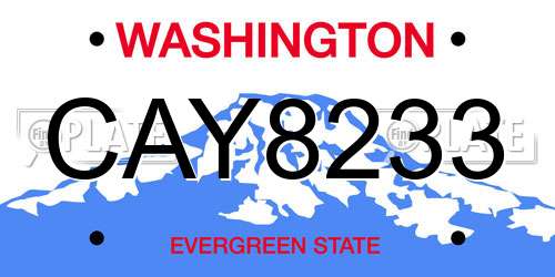 CAY8233 Washington License Plate