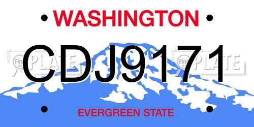 CDJ9171 Washington License Plate