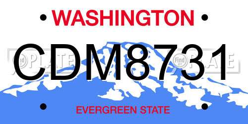 CDM8731 Washington License Plate