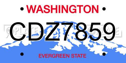 CDZ7859 Washington License Plate