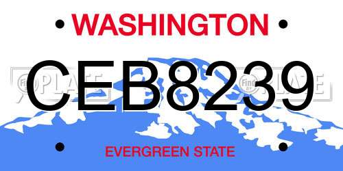 CEB8239 Washington License Plate