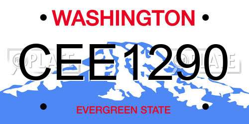 CEE1290 Washington License Plate