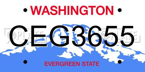 CEG3655 Washington License Plate