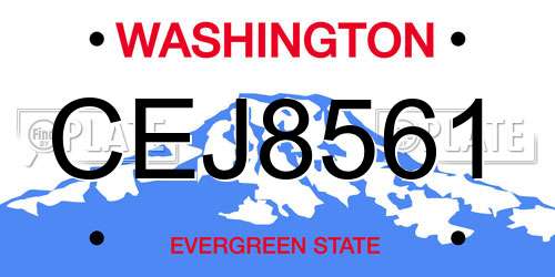 CEJ8561 Washington License Plate