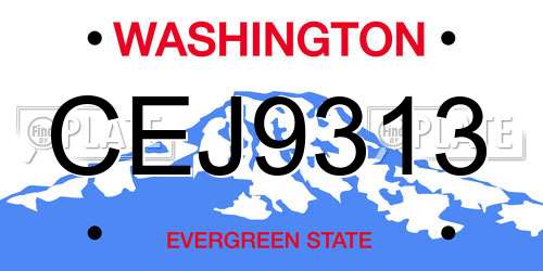 CEJ9313 Washington License Plate
