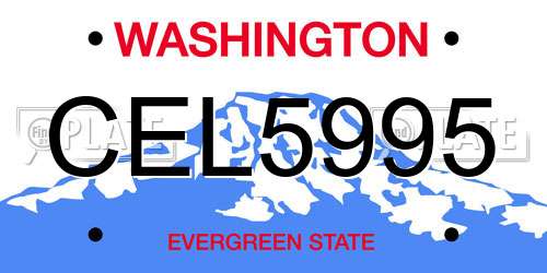 CEL5995 Washington License Plate