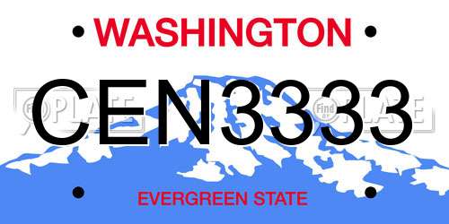 CEN3333 Washington License Plate