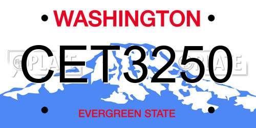 CET3250 Washington License Plate