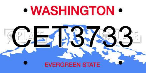CET3733 Washington License Plate