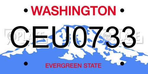 CEU0733 Washington License Plate