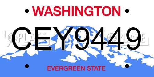 CEY9449 Washington License Plate
