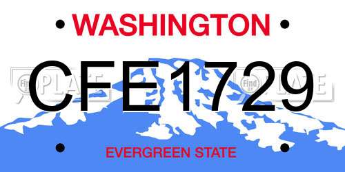 CFE1729 Washington License Plate