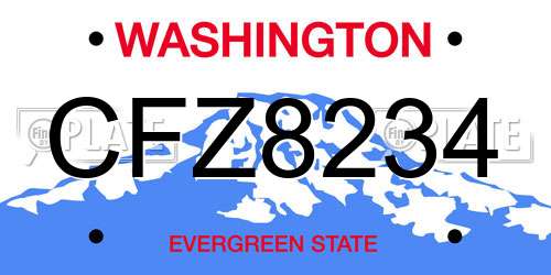 CFZ8234 Washington License Plate