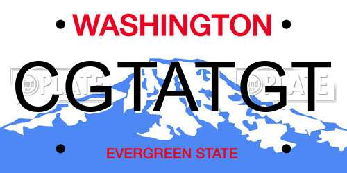 CGTATGT Washington License Plate