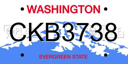CKB3738 Washington License Plate