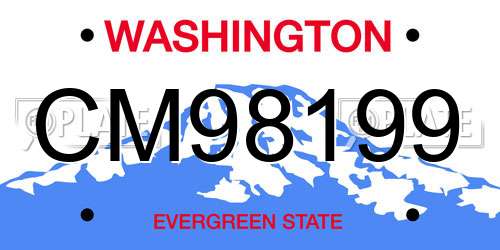 CM98199 Washington License Plate