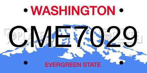 CME7029 Washington License Plate