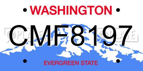 CMF8197 Washington License Plate