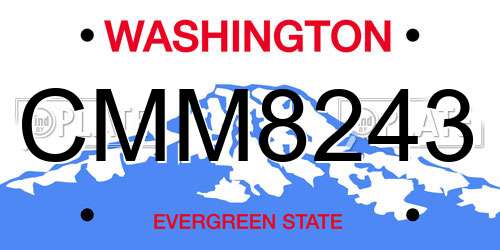CMM8243 Washington License Plate