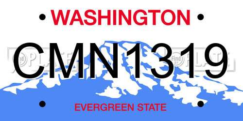 CMN1319 Washington License Plate