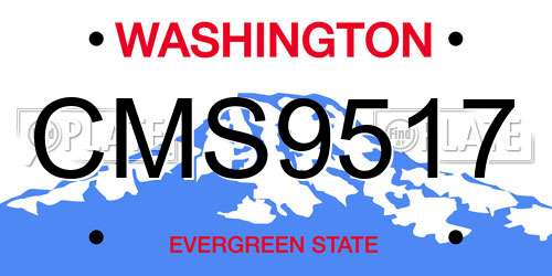 CMS9517 Washington License Plate