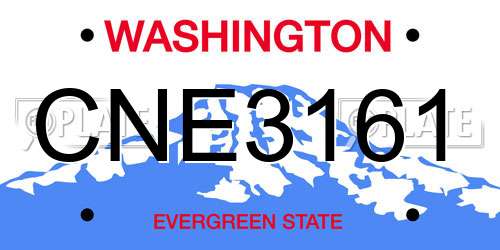 CNE3161 Washington License Plate