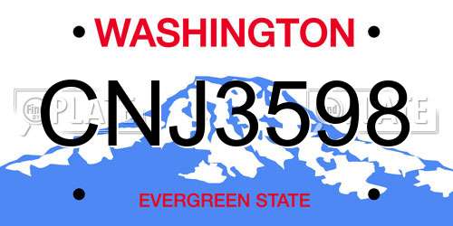 CNJ3598 Washington License Plate