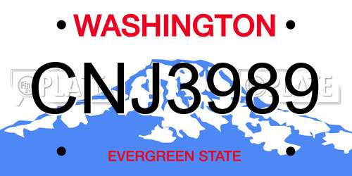 CNJ3989 Washington License Plate