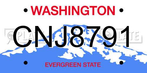 CNJ8791 Washington License Plate