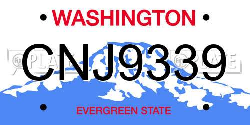 CNJ9339 Washington License Plate