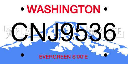CNJ9536 Washington License Plate