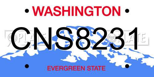 CNS8231 Washington License Plate