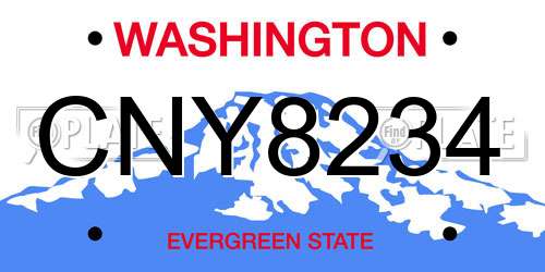 CNY8234 Washington License Plate