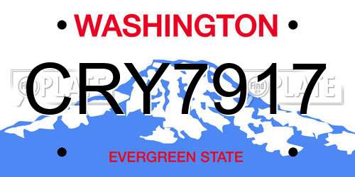 CRY7917 Washington License Plate