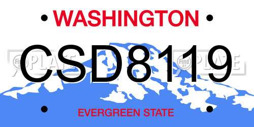 CSD8119 Washington License Plate