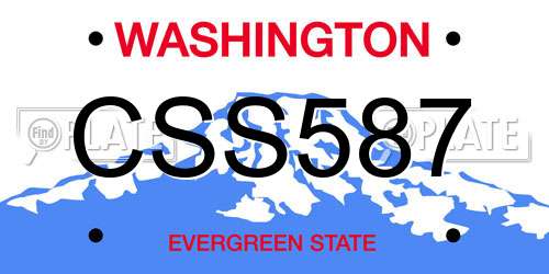 CSS587 Washington License Plate