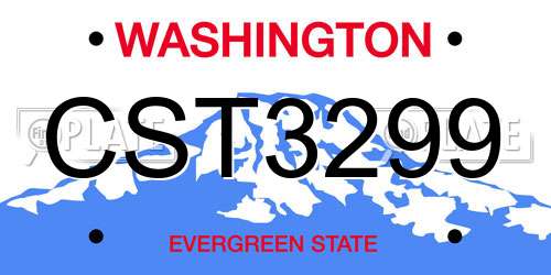 CST3299 Washington License Plate