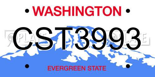 CST3993 Washington License Plate