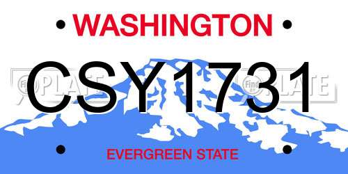 CSY1731 Washington License Plate