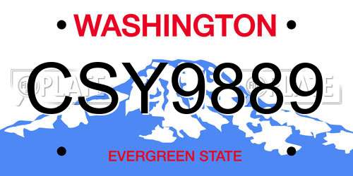 CSY9889 Washington License Plate