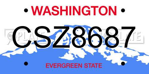 CSZ8687 Washington License Plate