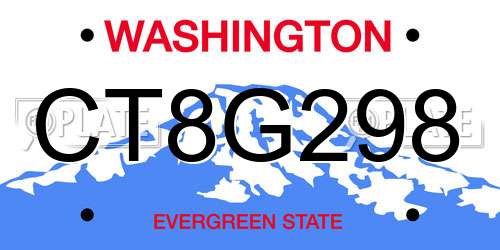 CT8G298 Washington License Plate