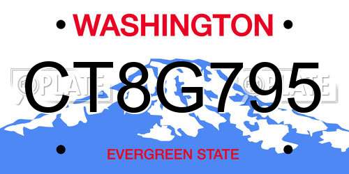 CT8G795 Washington License Plate