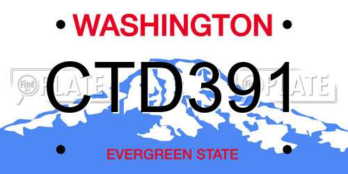 CTD391 Washington License Plate